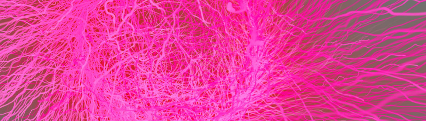 1400x400-project-Parameterizing-typicality-to-study-brain-systems-underlying-semantic-categories